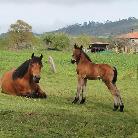 Casa De Aldea Monga 9 En Nava, Asturias Villa ภายนอก รูปภาพ