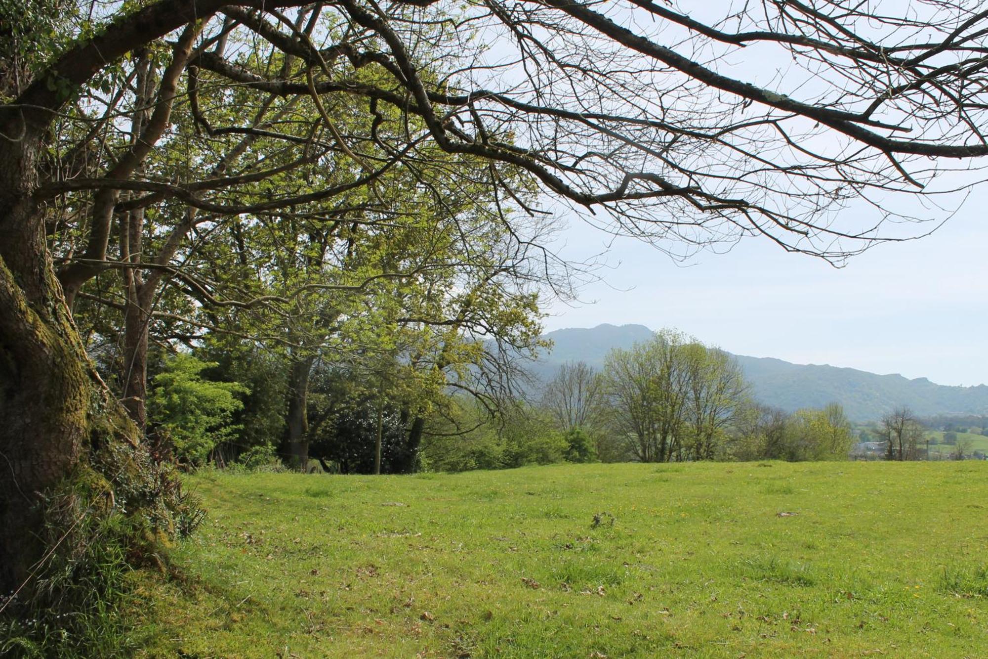 Casa De Aldea Monga 9 En Nava, Asturias Villa ภายนอก รูปภาพ